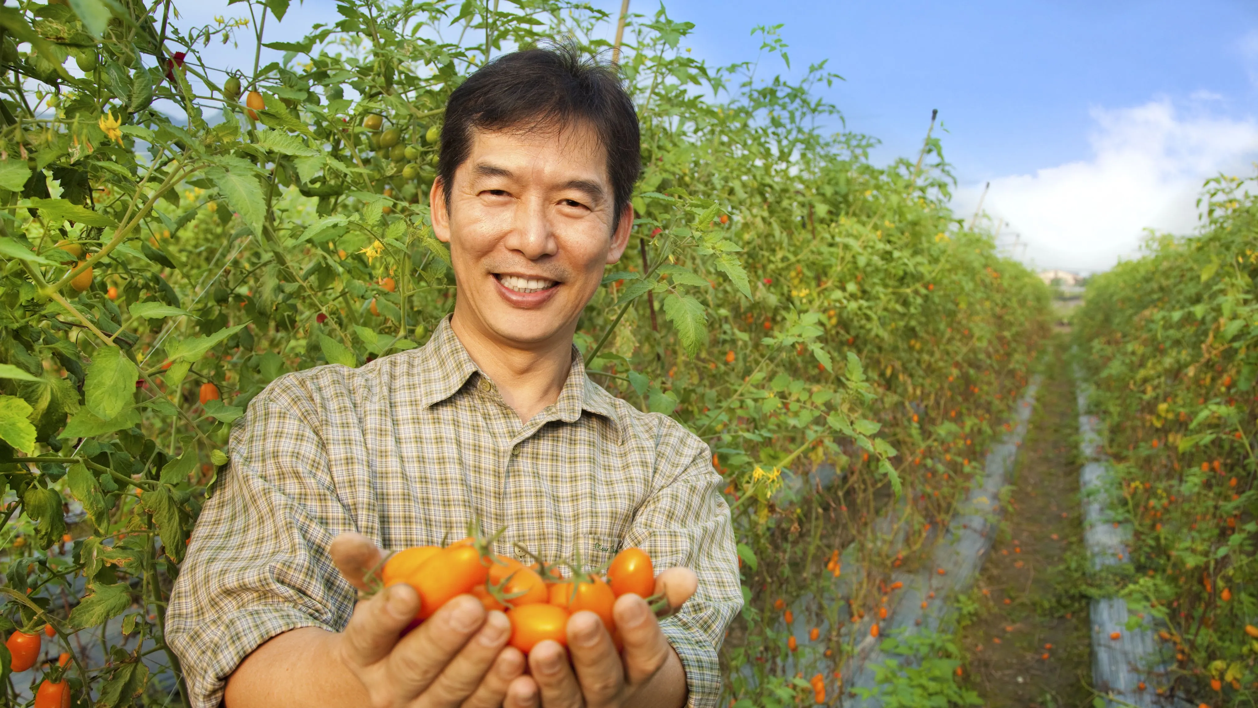 シニア向けアプリ開発で
デジタルデバイドを解消